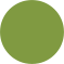 Kiwi-Green
