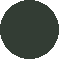 Conifer