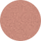 Pink Rose