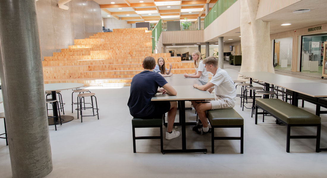Skandinavien macht Schule
