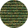 Farn
