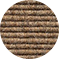 Sahara