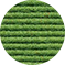 Apfel